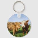 Search for highland cattle key rings Farm