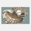 Search for conch shells stickers Large seashell