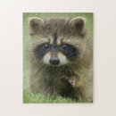 Search for raccoon puzzles Cute