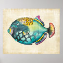 Search for aquarium posters Watercolor