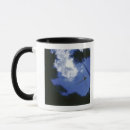 Search for flying dragonfly mugs Nature