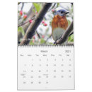 Search for robin bird calendars Blue jay