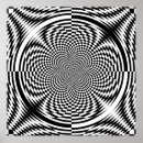 Search for black and white optical illusion posters Unique