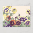 Search for vintage pansies postcards Antique