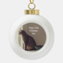 Search for kittens first christmas tree decorations Dog