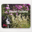 Search for birdhouse electronics Nature