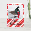 Search for goose christmas cards Winter