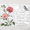 Search for tabletop postcards Rose