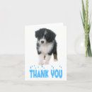Search for australian shepherd thank you cards Dog