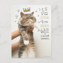 Search for internets postcards Kitten