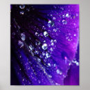 Search for drop of water posters Rain