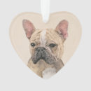 Search for doing pet supplies Puppy