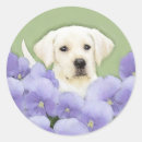 Search for labrador puppies stickers Puppy