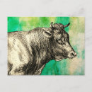 Search for vintage farm postcards Cow