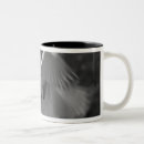 Search for infrared mugs White
