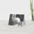 Search for nocturnal cards Owl