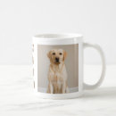 Search for labrador dad mugs Yellow labrador retriever