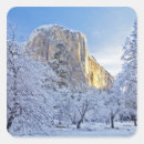 Search for el capitan stickers California