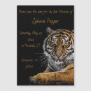 Search for save tigers Animal