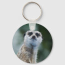 Search for meerkats key rings Manor
