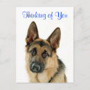 Search for thinking postcards Puppies