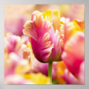 Search for flowerbed art Tulip