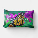 Search for monarch butterfly cushions Orange and black