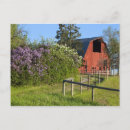 Search for magpie postcards Rural