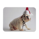 Search for bulldog greeting magnets Animal