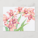 Search for foliage horizontal postcards Flowers