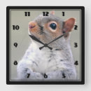 Search for gray squirrel art Animal