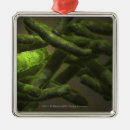 Search for bacteria christmas tree decorations Horizontal
