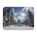 Search for spruce tree magnets Snow