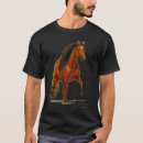 Search for peruvian paso Equestrian