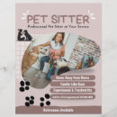 Search for dog boarding flyers Pets