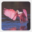 Search for cormorant stickers Wildlife