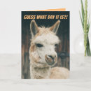 Search for guess what cards Camel