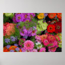 Search for saturation posters Colour