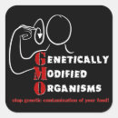 Search for genetic stickers Gmo