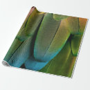 Search for beak wrapping paper Feather