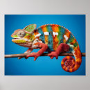 Search for chameleon posters Background