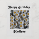 Search for happy birthday daisy flower postcards Yellow
