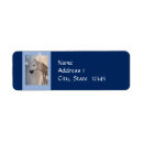 Search for arabian horse return address labels Stallion