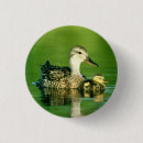 Search for ducklings badges Baby