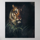Search for thayer Tiger