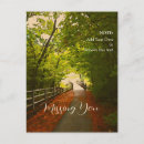 Search for forest path Road
