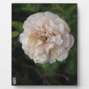 Search for wall plaques Flower