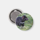 Search for tasmanian devil magnets Australia