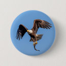 Search for bald eagles badges Wildlife
