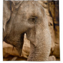 Search for elephants shower curtains Wildlife